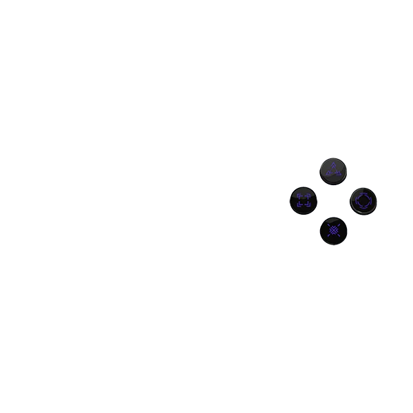 PF ABXY - Image 52